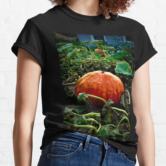 Discover The Great Pumpkin T-shirts