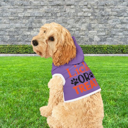 Discover Cute Halloween Pet Hoodie - Cat Costume Design