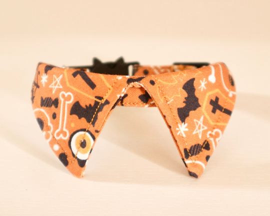 Discover Halloween Cat Collar with Unique Design and Breakaway Safety
