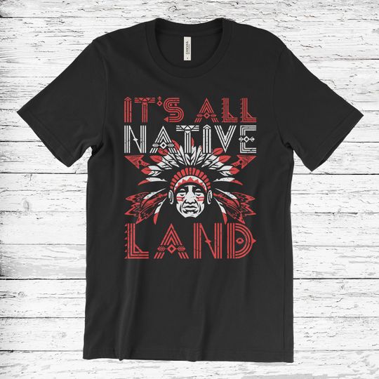Discover Native American Unisex T-Shirt, Native American Gift