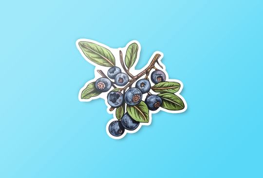 Discover Blueberry Cottagecore Sticker
