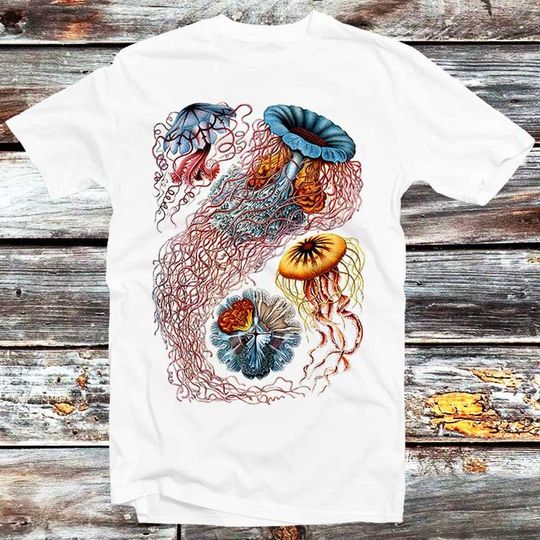 Discover Jellyfish T Shirt Ernst Haeckel Discomedusae Ascidiae Art