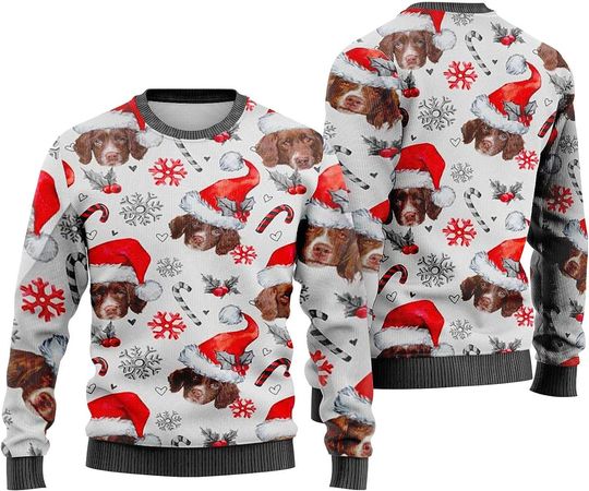 Discover Drentse Patrijshond  Sweater Christmas 3D Sweater
