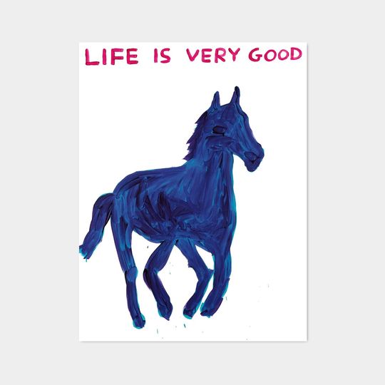 Discover Life is Very Good Funny poster