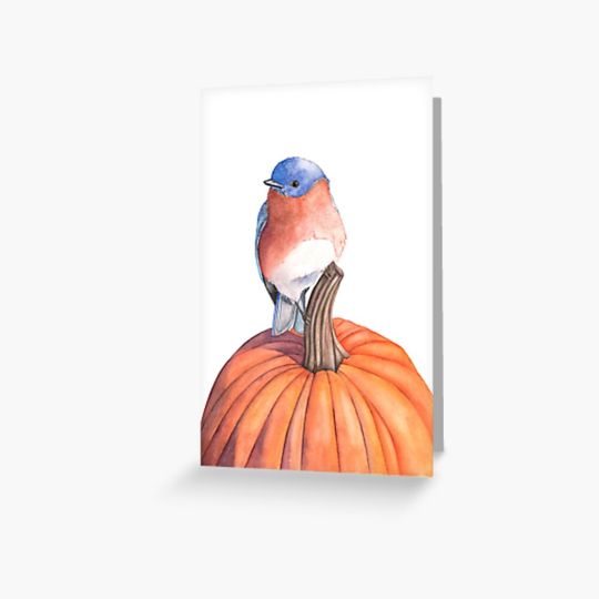 Discover Bluebird Greeting Card