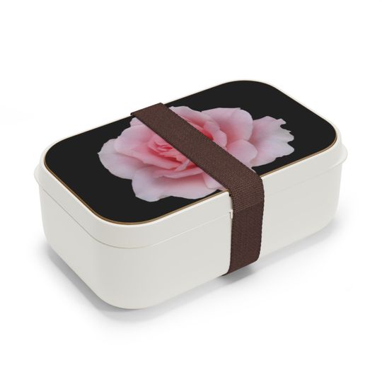 Discover Bento Lunch Box