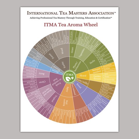 Discover Pop Chart Tea Aroma Wheel Premium Matte Vertical Poster