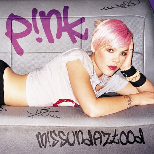 Discover P!nk Pink Singer Summer Carnival Tour Poster