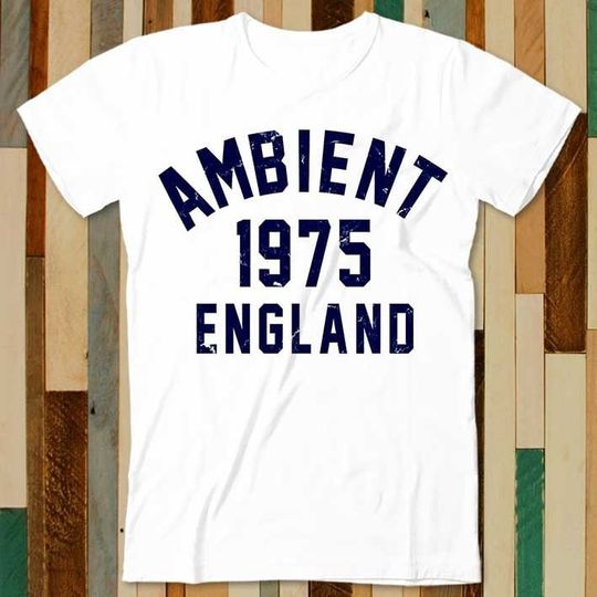 Discover Ambient Music 1975 Brian Eno The Orb Synthesizer T Shirt