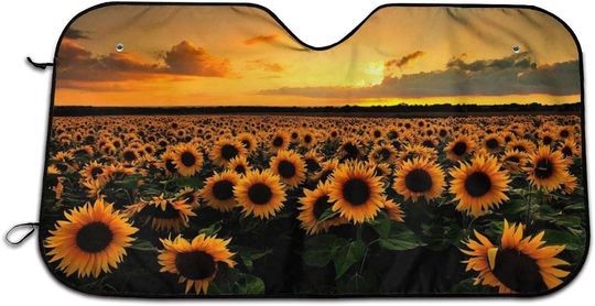 Discover Windshield Sunshade Car Window Shades Automotive Sunshades for Windshields Sun Shade