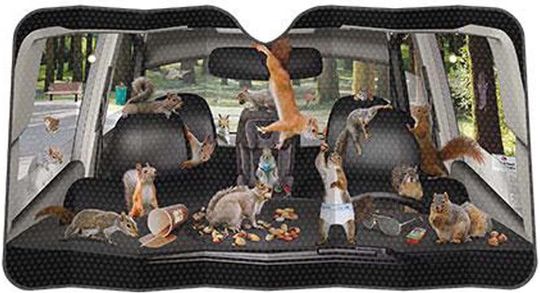 Discover Mcphee Archie Accoutrements Car Sun Shade