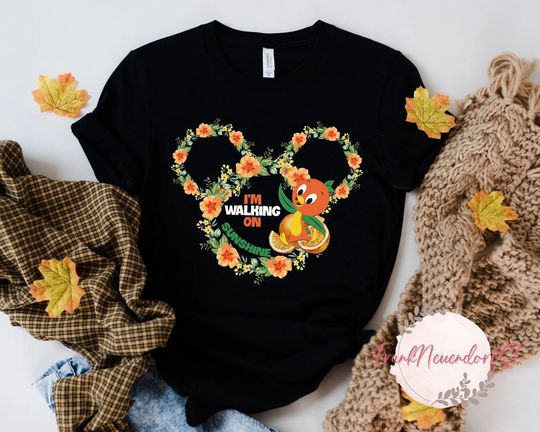 Discover Florida Orange Bird Shirt, Orange Bird Shirt, Orlando Florida