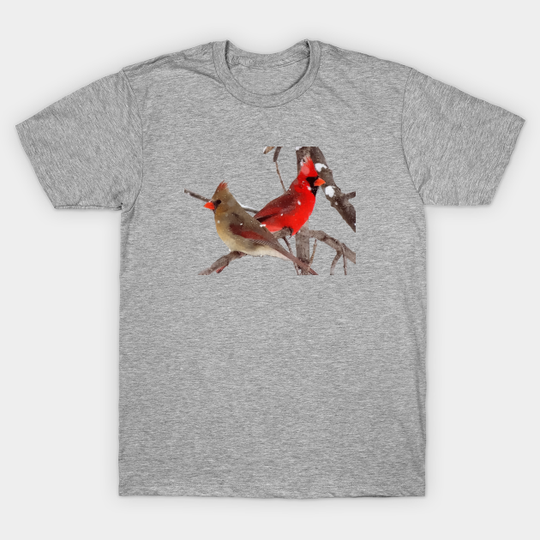 Discover Cardinals - Cardinal - T-Shirt