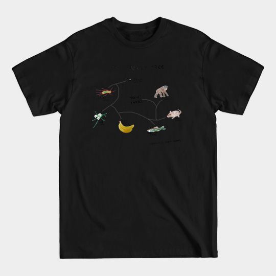 Discover My Family Tree - Evolution - T-Shirt