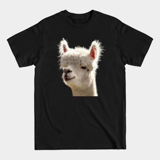 Discover Alpaca! - Alpaca - T-Shirt