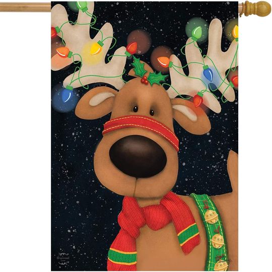 Discover Reindeer in Lights Christmas House Flag