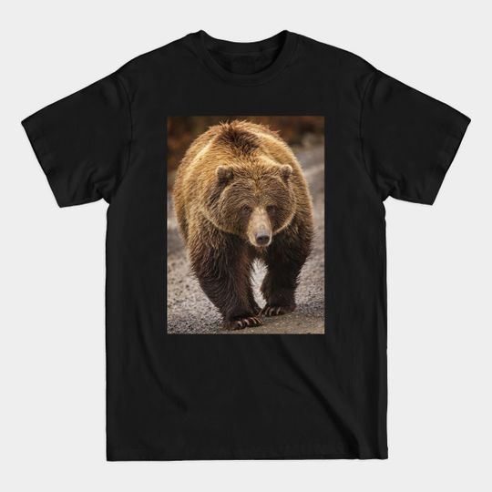 Discover Grizzly - Grizzly Bear - T-Shirt