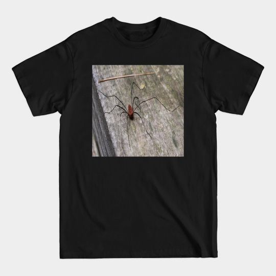 Discover A Daddy Long Leg Spider - Spider - T-Shirt