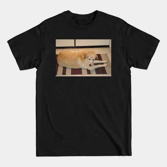 Discover Labrador retriever yellow laying on rug - Yellow Lab - T-Shirt