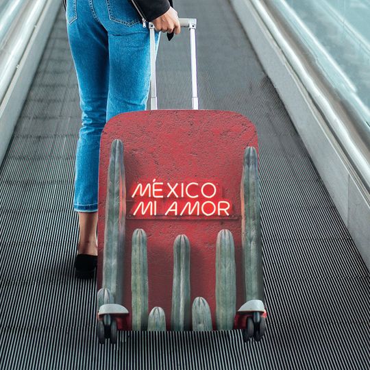 Discover Suitcase cover, Luggage cover