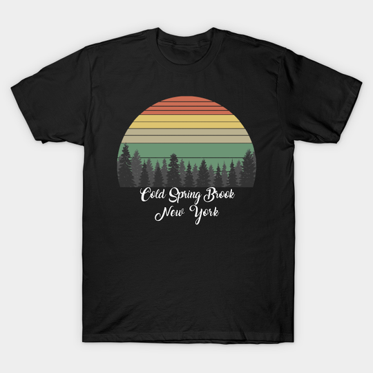 Discover Cold Spring Brook New York T-Shirt