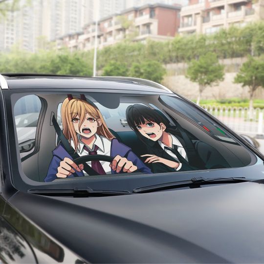 Discover Power and Kobeni Accordion Car Sun Shades