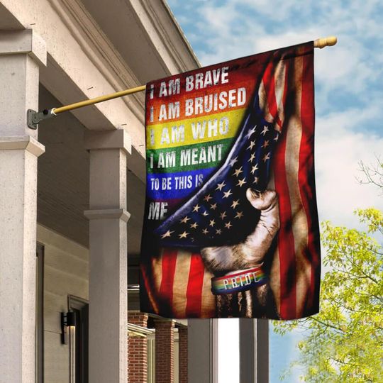 Discover LGBT Pride Month American House Flag