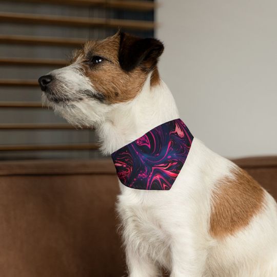 Discover Pet Bandana Collar