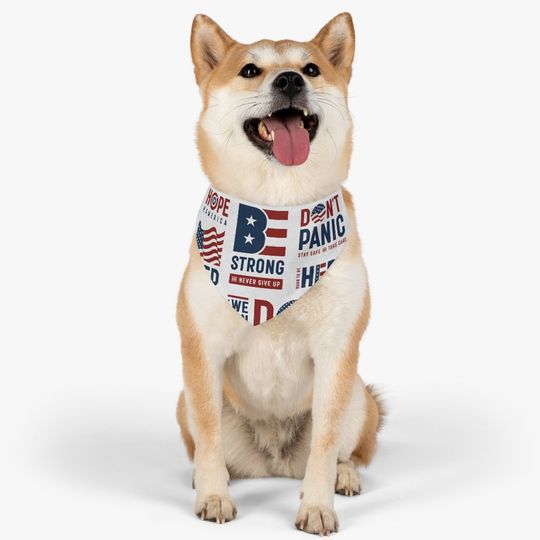 Discover Pet Bandana Collar- America