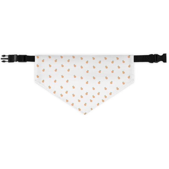 Discover Oranges Pet Bandana Collar