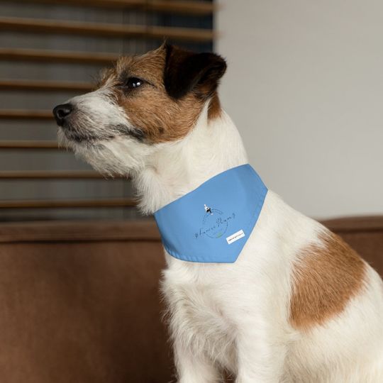 Discover Pet Bandana Collar