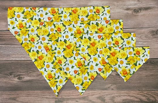 Discover Spring Summer Daffodil Floral Dog Bandana