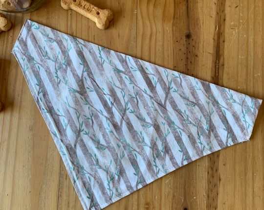 Discover Trees Dog Collar Bandana.