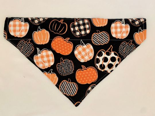 Discover Pumpkins Reversible Dog Collar Bandana Slip on Collar Bandana