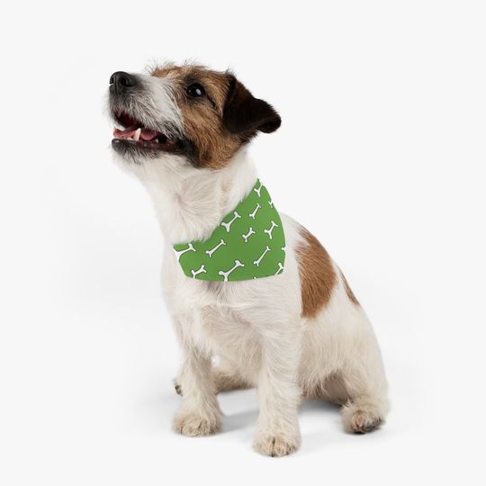 Discover Green Dog Bandana Collar