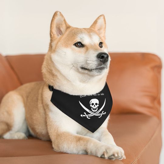 Discover Pirate Pet Collar, Jolly Roger, Pet Bandana Collar