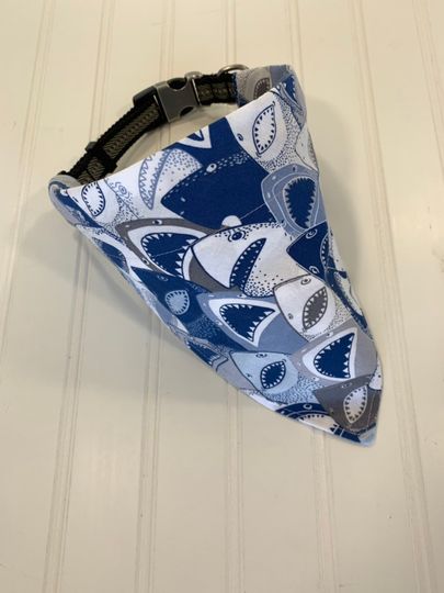 Discover Sharks Dog Collar Bandana.