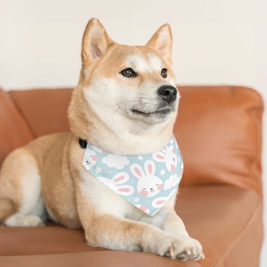 Discover Bunny Pattern, Pet Bandana Collar
