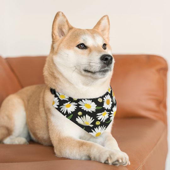 Discover Daisies Pattern, Pet Bandana Collar