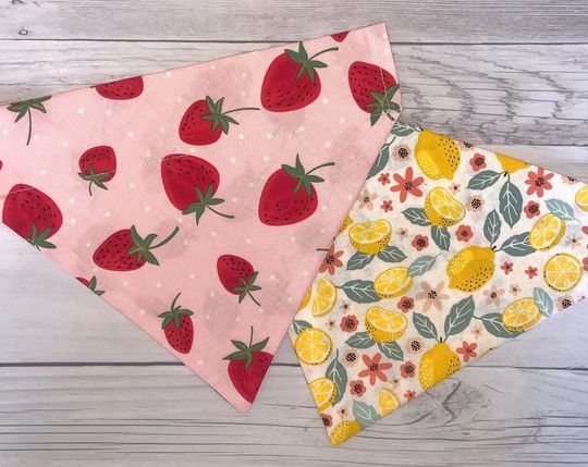 Discover Strawberry Lemon Pet Bandana // Over The Collar Dog Cat Bandana