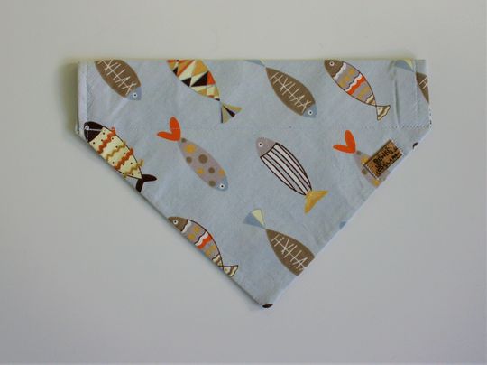 Discover Fish Dog Bandana Collar