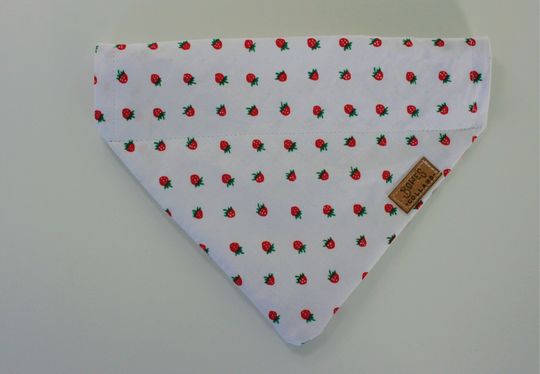 Discover Strawberry Dog Bandana Collar