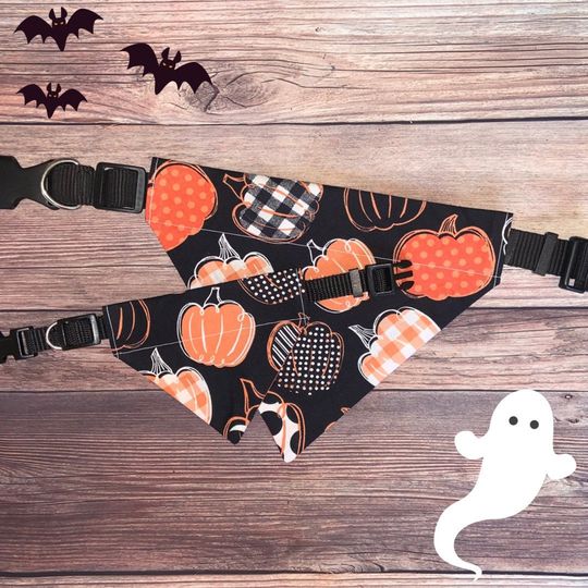 Discover Whimsical Pumpkin Dog Collar Bandana