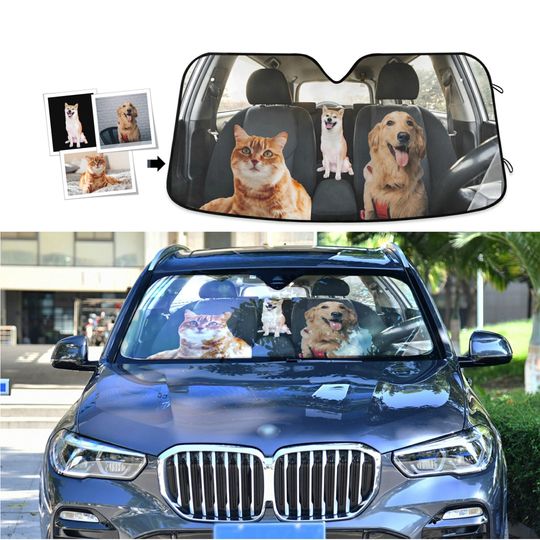 Discover Custom Car Auto Sun Shade