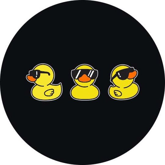 Discover Cool Ducks Spare Tire Cover