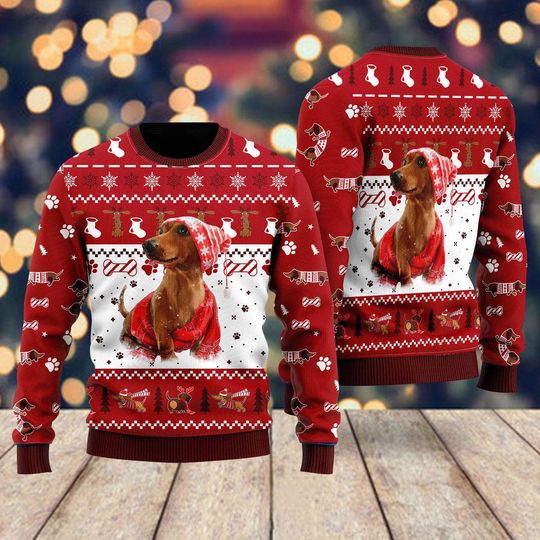 Discover Holiday Dachshund Ugly Christmas Sweater