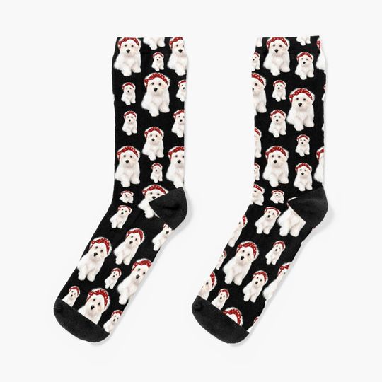 Discover Cute maltese, bolognese dog.Perfect gift for dog lovers.Bolonka Socks