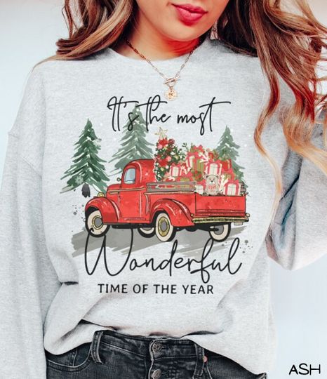 Discover It's the Most Wonderful Time of the Year Sweatshirt, Christmas Sweatshirt