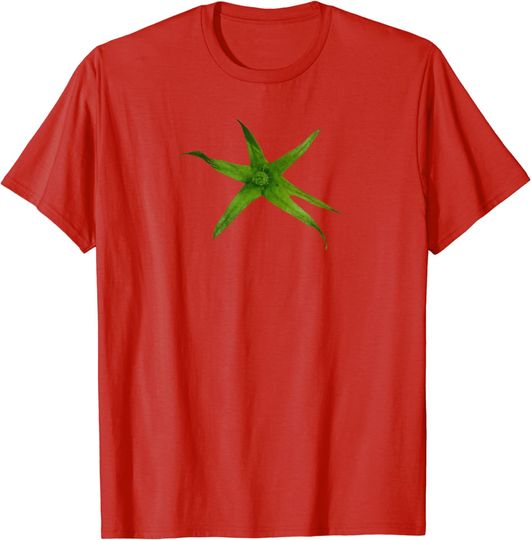 Discover Tomato Easy Costume - Dress Up As A Tomato T-Shirt