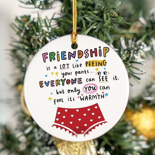 Discover Funny Friend Christmas Ornament, Gift For Friends Ornaments